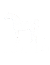 echao.png